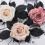 Curtain Tiebacks Decorative Curtain Holdbacks-Vitality powder 6