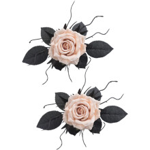 Embrasses de rideaux, boucles de retenue de-Abricot oriental
