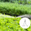 Leakproof Stainless Tripod Sprinkler Multiple Connection Option 2