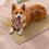 Summer Cooling Bed Mat For Pet Comfortable Pad For Dog Cats-S 2 5