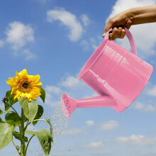Galvanized Watering Can 1L Mini Metal Can for Indoor Outdoor Plants, Precise Control and Home Decor