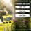 Automatic Irrigation Controller with Triple Zone Control, Flexible Water Scheduling and Rain Delay for Balcony Gardens 3