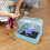Chicken Brooder Box with Adjustable Heating Pad, Breathable Blue Bird Incubator for Baby Chicks 3