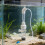 2Ensembles Boîte D'élevage Aquarium En Pour Œufs De 9