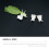 150Pcs Multifunctional White for Parrot Feeding 9