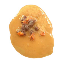Realistic Fake Vomit Prank Prop for Halloween, April Fools, Parties, Office or Bar Gag Toy