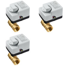 3X AC220V 2-Weg DN20 met Handmatige Schakelaar Messing Gemotoriseerde Kogelkraan 3-Draads Elektrische Actuator met Twee Bedieningen