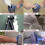 12pc Multifunctional Paint Roller Corner Brush Handle Tools Wall Painting Roll DIY Household Operate Painting Brushes 7