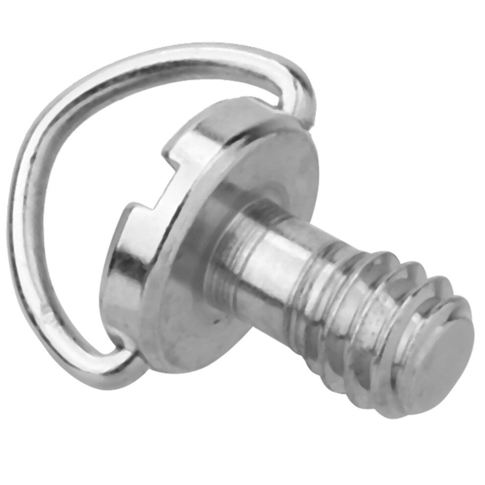 Pack Of 5 Stainless Steel 1/4 Screws 7790334127490
