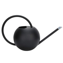 1L Stainless Steel Watering Can with Long Spout and Ergonomic Handle for Indoor Houseplants
