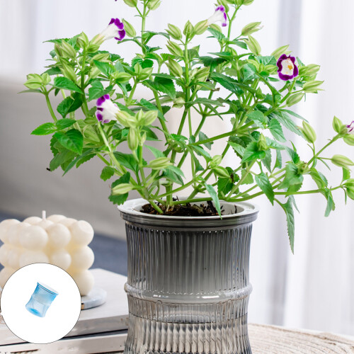 Automatischer Blumentopf-Übertopf, klares, transparentes-PK 1