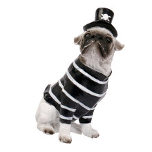 Halloween Party Decorations Resin Sitting Dog Statues-pirate