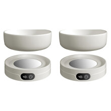 2X Heated Pet Bowl with 4 Temperature Settings, Thermal Dog Water Bowl,Pet Drinking Plate