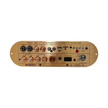 Scheda Amplificatore Audio A 2.1 Canali D900, Uscita 50W+50W+100W, Supporta USB, AUX, Microfono, FM, Scheda TF, Spina USA