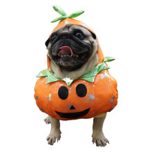 Jumpsuits voor huisdieren Halloween Kerstmis Hond Katten-M geel