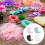 Plastic Storage Box For Daily Essential-Transparent color 3