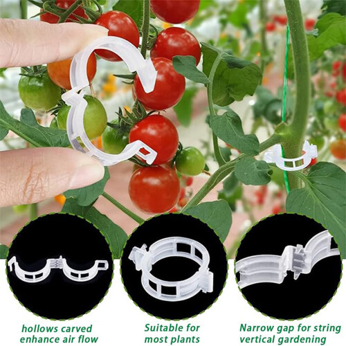 Ensemble de clips pour plantes de tomate, 40 pièces, crochets de 1