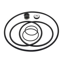 PS200 Pool Pump Shaft Seal Kit for Pac Fab Challenger GOKIT5 – LeakProof Rebuild and Motor Protection