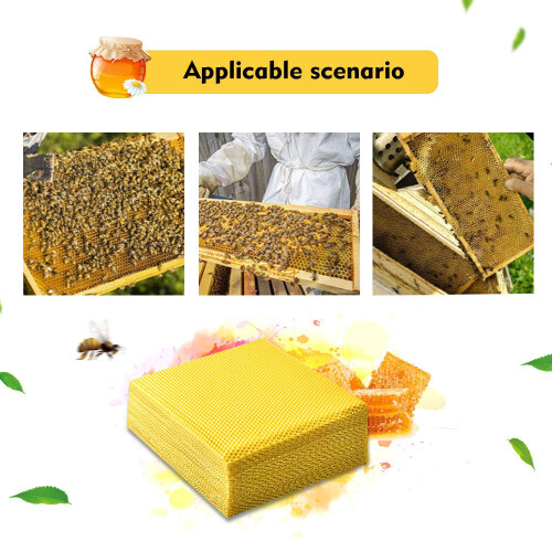 30 Pack Pure Beeswax Wired Foundation Sheets for Beekeeping Hive Frames,  Honey Production 2