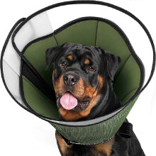 (ML) Collier médical XXL pour chien avec dispositif anti-plaie