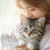 Large Cats Furs Keepsakes-   Ordinary fat cat 2