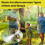 (2PCS) 1-3x Natural Peppermint Bee & Wasp Repellent Spray 2025 4