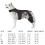Breathable Canine Knee Brace Protective Leg Guard Adjustable-L 6