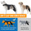 Breathable Canine Knee Brace Protective Leg Guard Adjustable-L 7