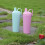 Thermische 710ML roestvast stalen watercontainer- Romig geel 7
