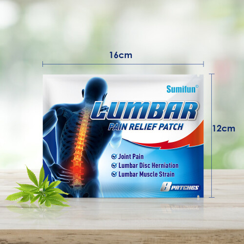 Lumbar Muscle Strain Care Patch Lumbar Vertebra Patch 1