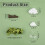 4pcs Jumping Spider Hide Glass   Cloud Platform Ledges Jumping Spider for Decorating Jumping Spider Enclosure 8