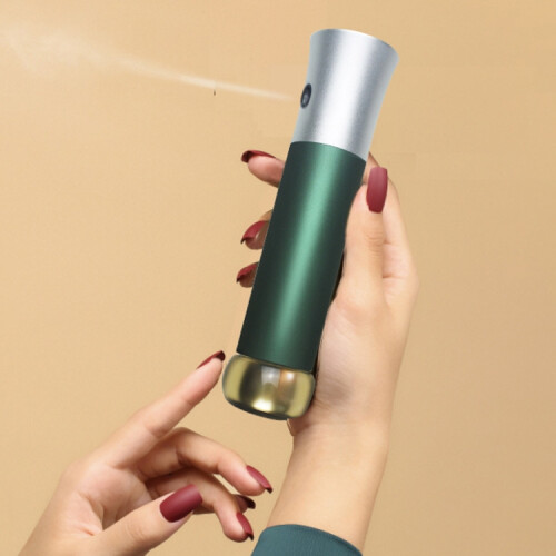 ZY2105 Home Handheld Facial Moisturizing Device (Green)