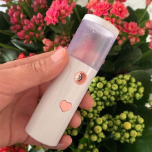 Humidificateur facial L20, vaporisateur nano rechargeable USB, appareil de beauté portable à pulvérisation froide, désinfectant à alcoo
