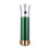 ZY2105 Home Handheld Facial Moisturizing Device (Green) 2