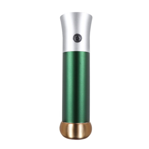 ZY2105 Home Handheld Facial Moisturizing Device (Green) 1