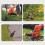 Trimmerspole for Black Decker GL250/GL310/GL360 gresstrimmer 5
