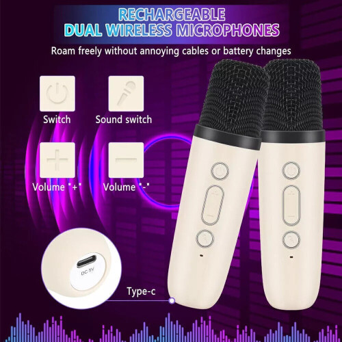 Mini Karaoke Machine with 2 Microphone Portable Bluetooth Speaker with LED 1