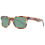 Skechers Skechers Sunglasses SE6216 56R 51 1
