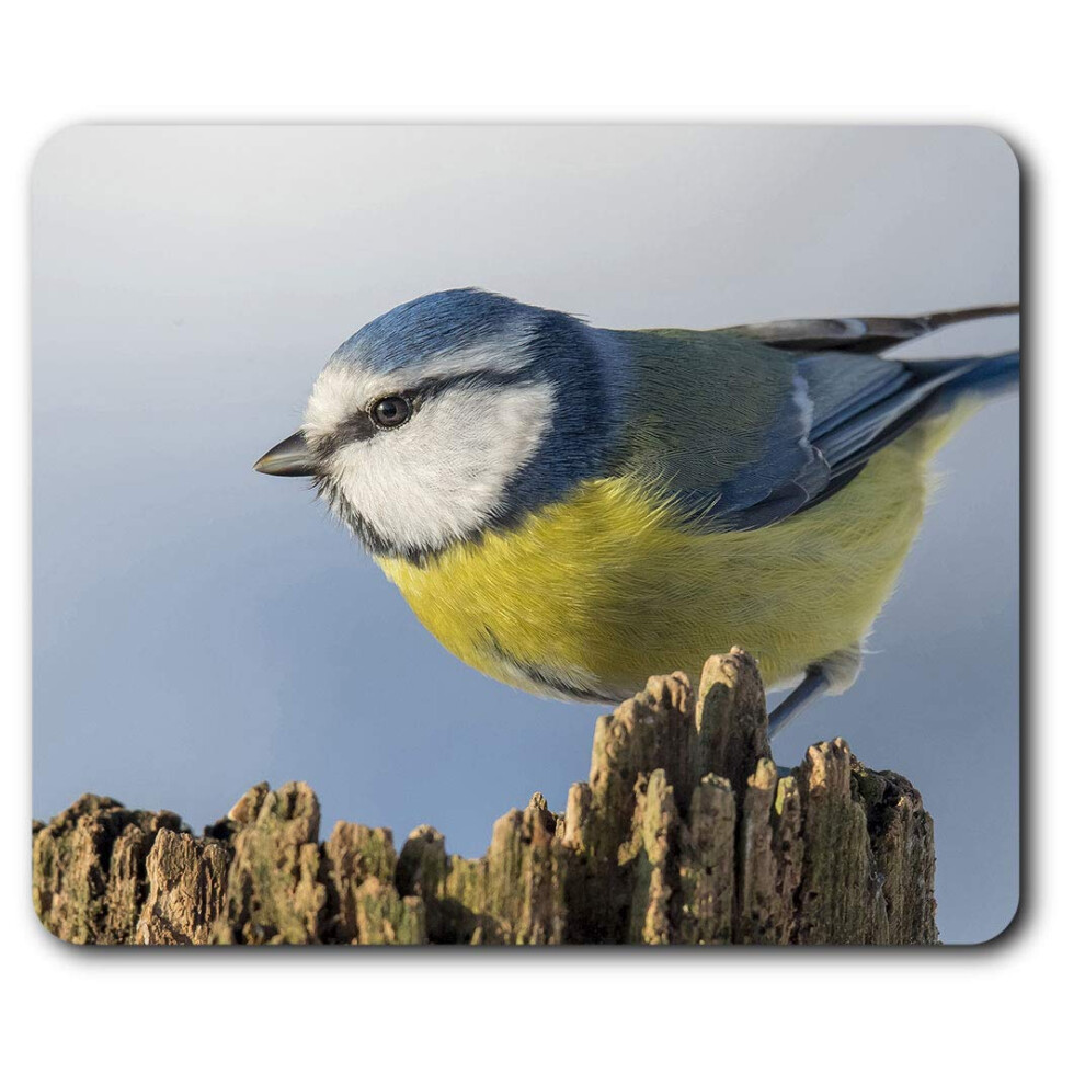 Tit Bird Garden Birds Mouse Mat Pad Computer Pc Laptop Gaming Office Home Desk Accessory Gadget 3119 Blue 7625999208713