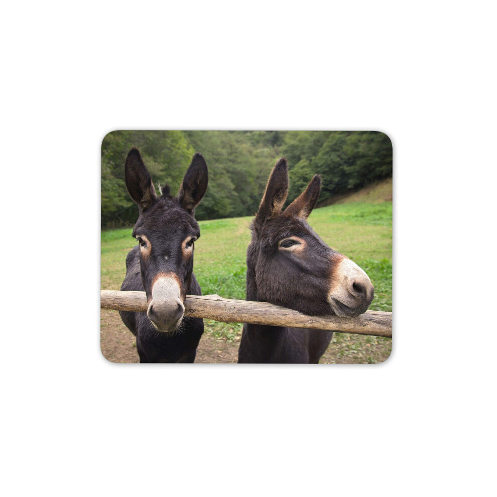Cute Donkeys Mouse Mat Pad - Donkey Horse Pony Kids Animal Computer #16451 7625943972202