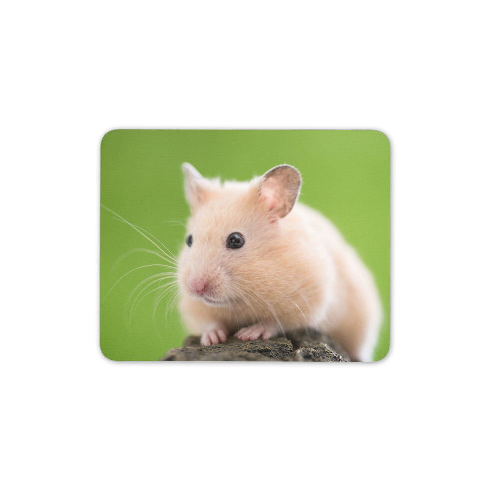 Destination Vinyl Ltd Adorable Hamster Mouse Mat Pad - Rodent Mum Sister Kids Pc Computer #8277 7625907112576