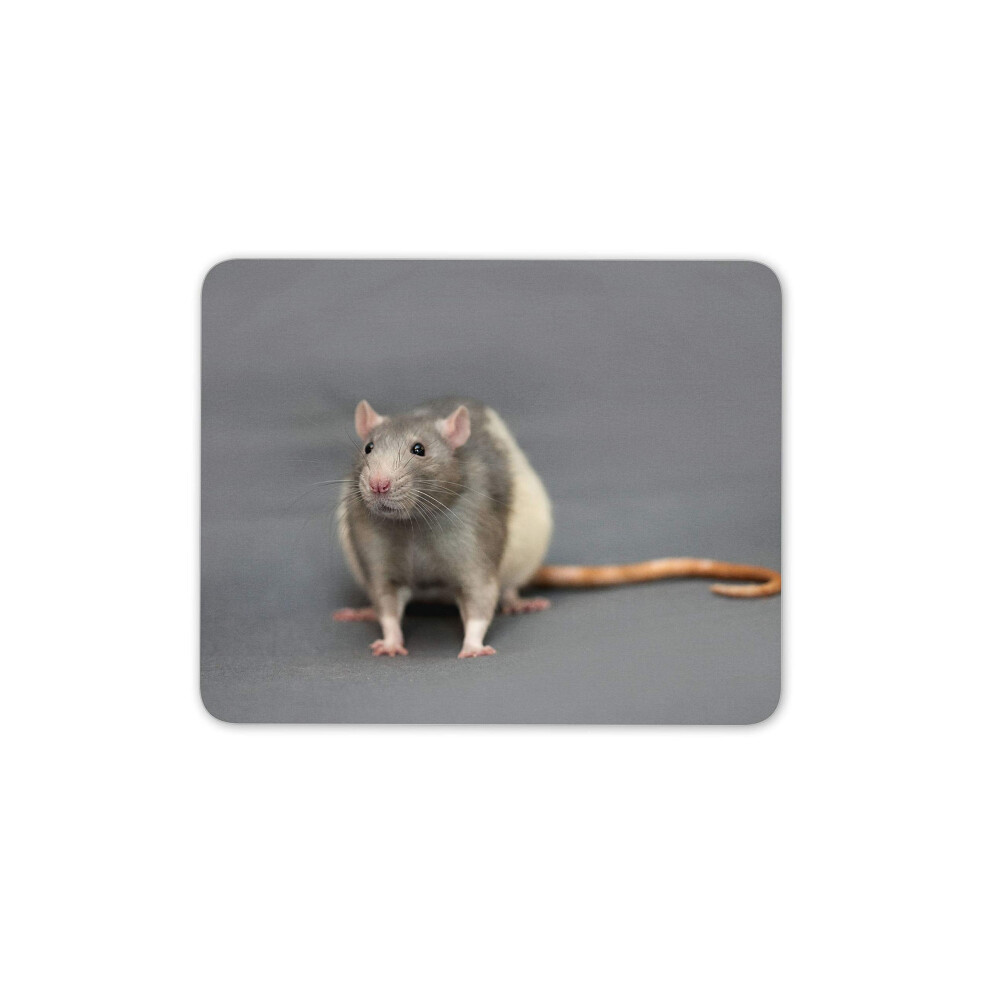 Cute Fancy Rat Mouse Mat Pad - Pet Rats Rodent Mouse Animal Gift Computer #14158 7625913902444