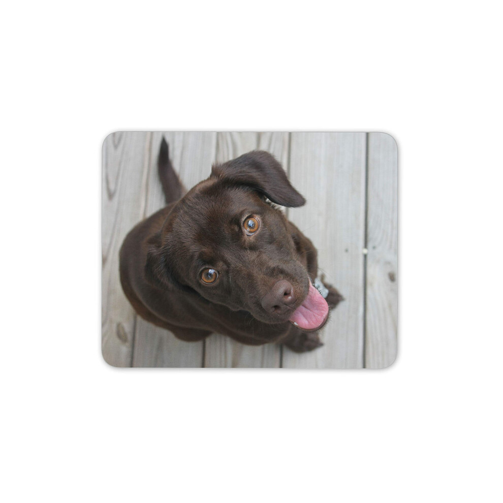 Destination Vinyl Ltd Adorable Chocolate Labrador Dog Mouse Mat Pad - Cute Fun Computer #14281 7625899473013