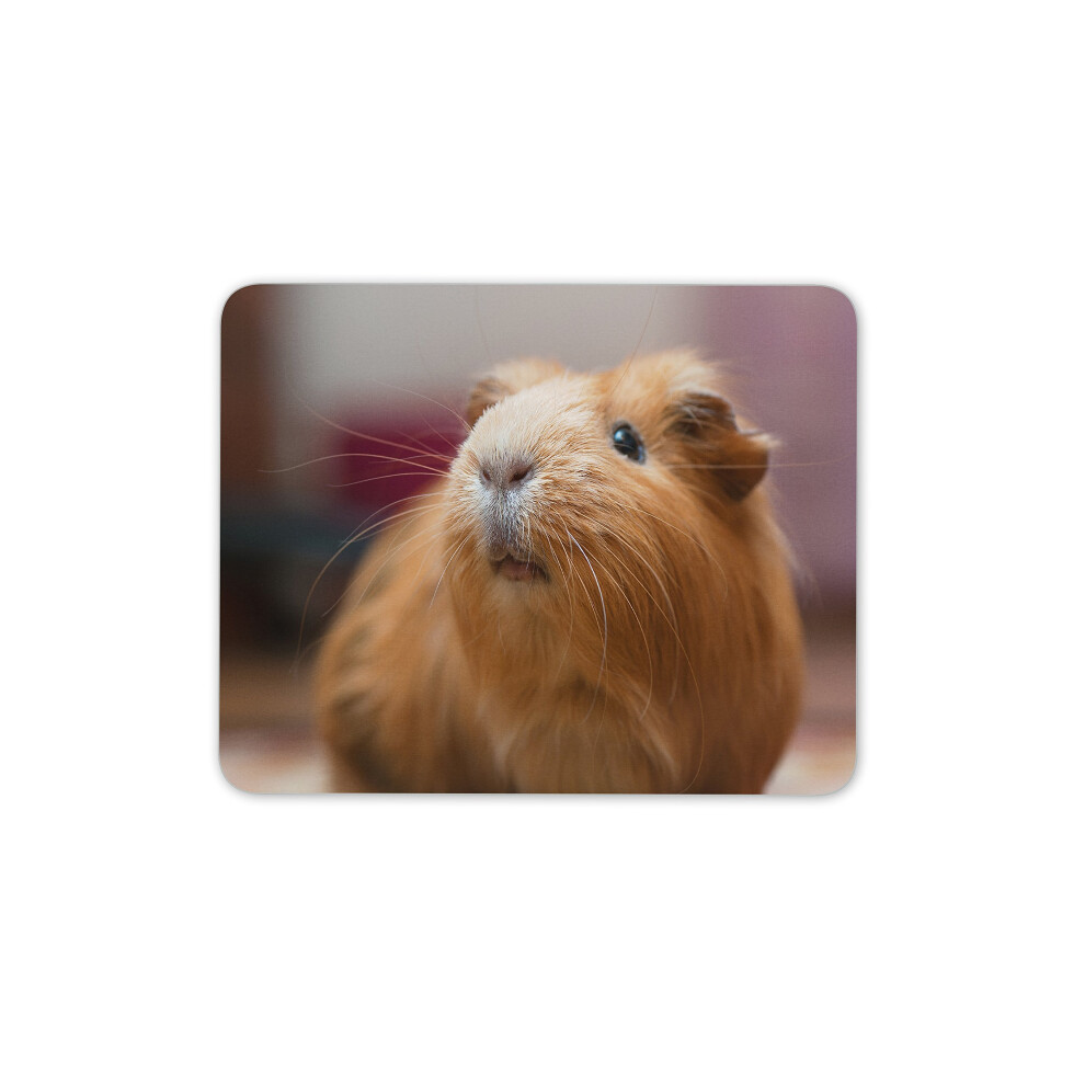 Cute Ginger Guinea Pig Mouse Mat Pad - Pig Animal Kids Pc Computer #8353 7625901685960