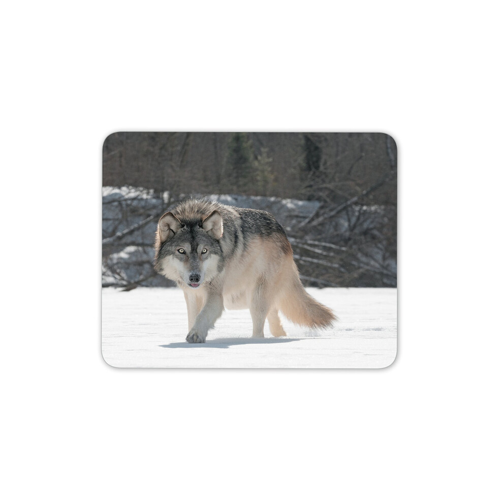 Wild Wolf Mouse Mat Pad - Animal Wolves Predator Computer #13159 7625903260424