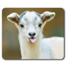 Baby Goat Animals Pets Farm Mouse Mat Pad Computer PC Laptop Gaming Office Home Desk Accessory Gadget 3670