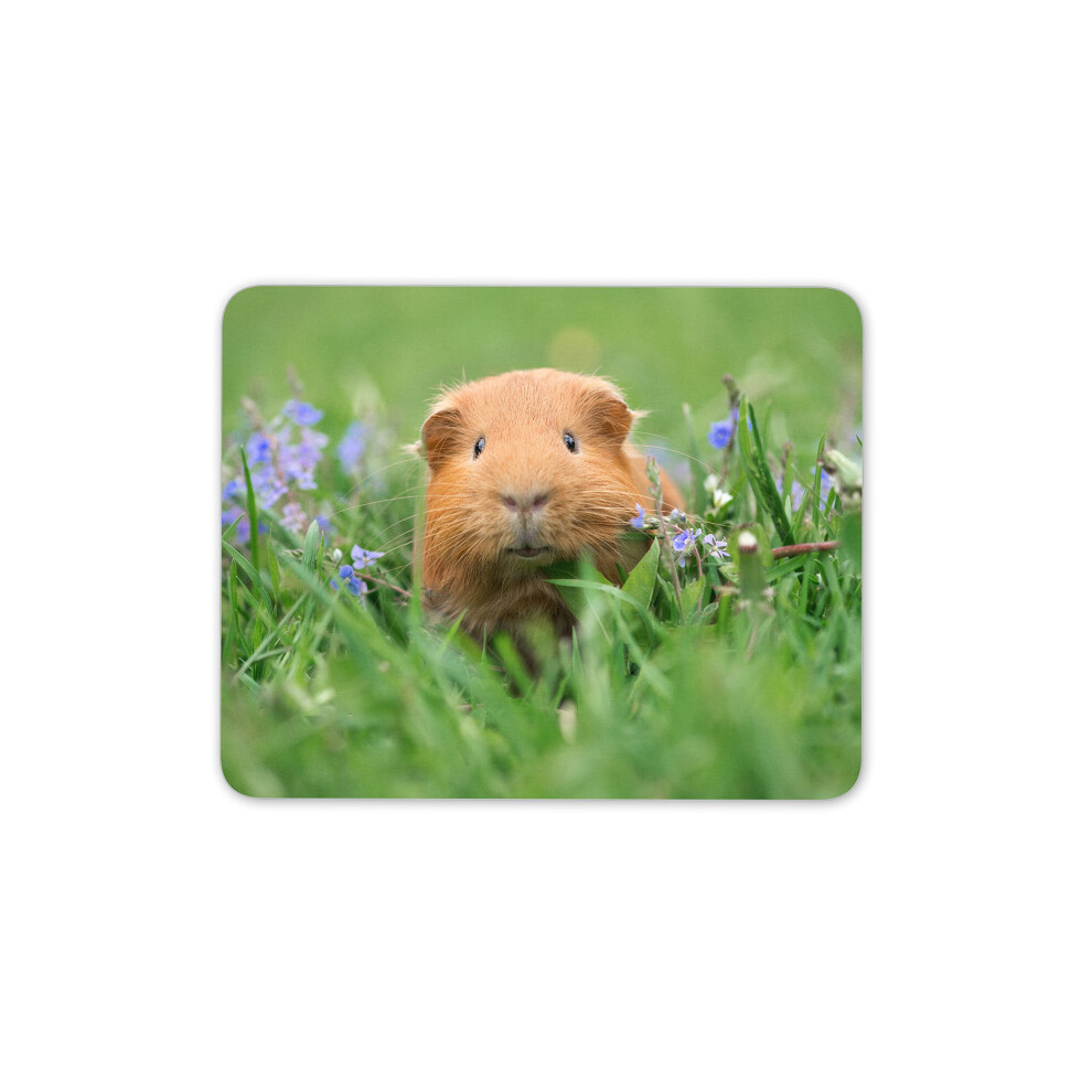 Cute Ginger Guinea Pig Mouse Mat Pad - Piglet Pig Animal Gift Pc Computer #8558 7625904279494