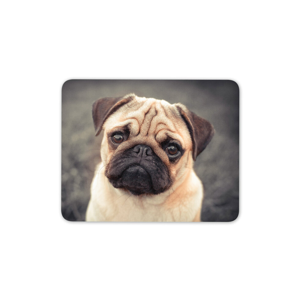 Destination Vinyl Ltd Beautiful Tan Pug Dog Mouse Mat Pad - Puppy Mum Sister Fun Gift Computer #8623 7625907323088