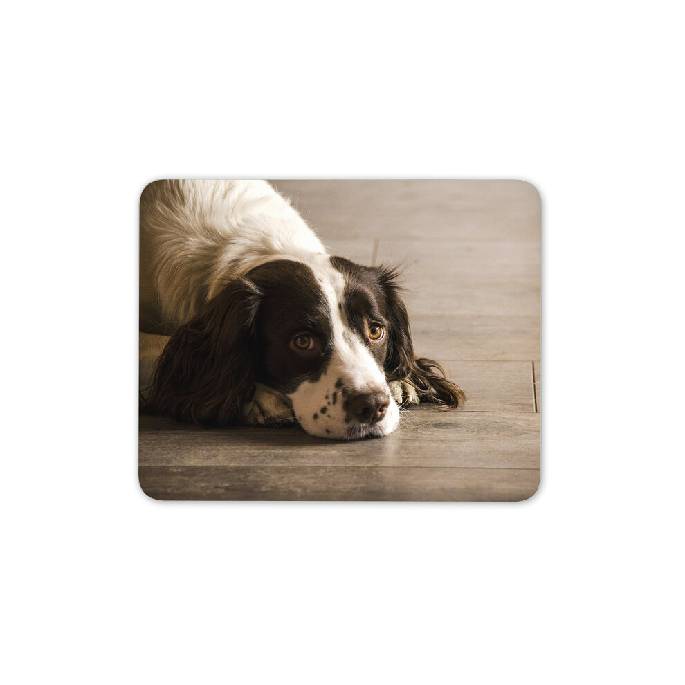 Destination Vinyl Ltd Beautiful Springer Spaniel Dog Mouse Mat Pad - Puppy Dogs Pc Computer #8725 7625910012917