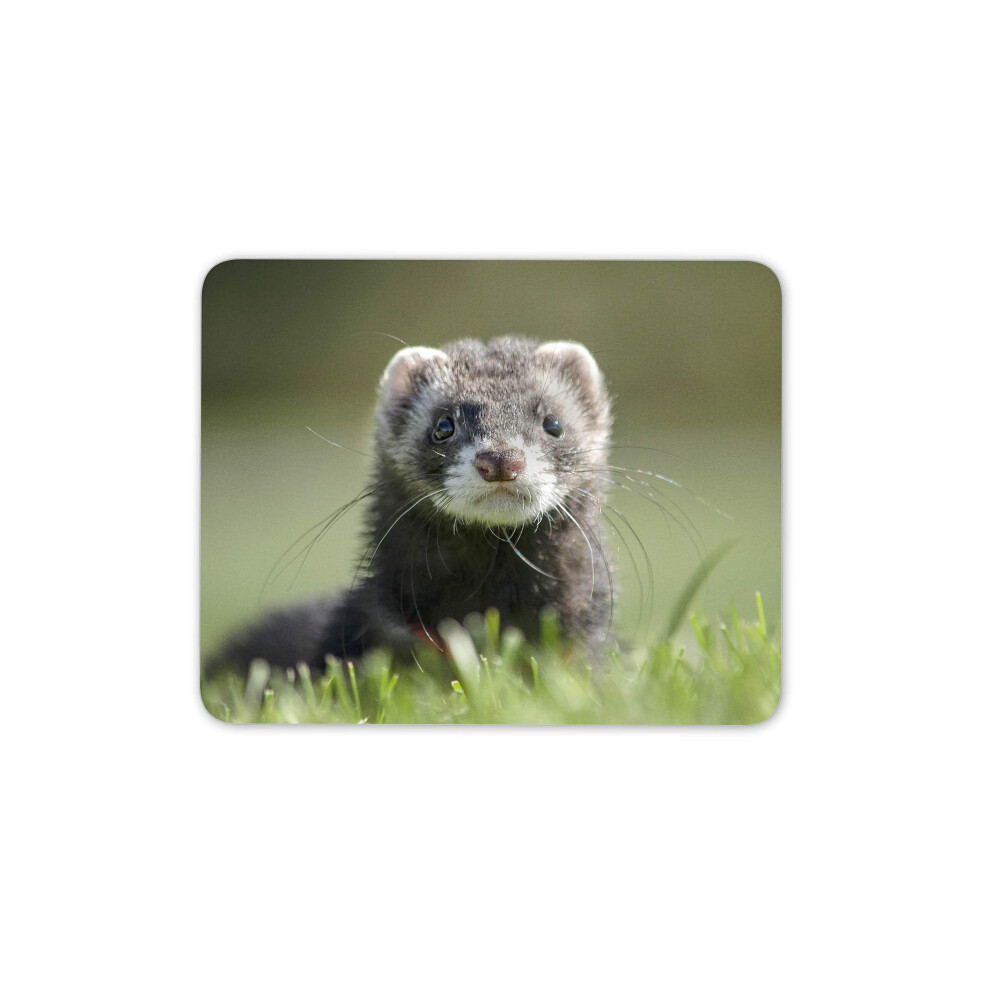 Destination Vinyl Ltd Cute Ferret Mouse Mat Pad - Polecat Weasel Mustela Kids Fun Computer #14219 7625912911096